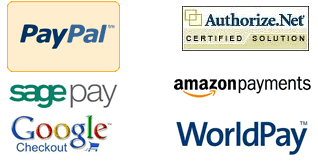 Integrated payment processors