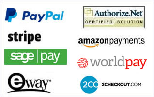 Integrated payment processors
