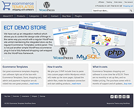 Wordpress demo store