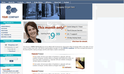 Virtual CSS Special Ecommerce Plus