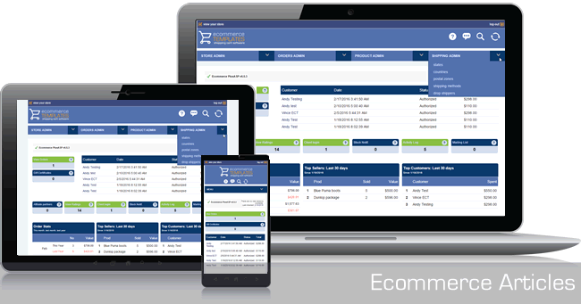 Ecommerce Articles