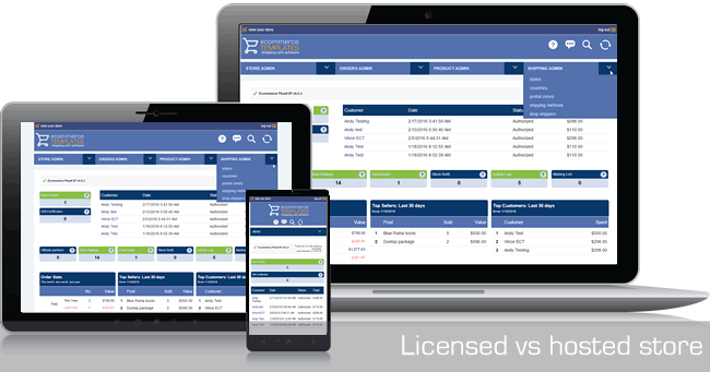 Licensed v Hosted Ecommerce Platform