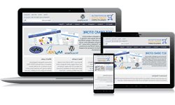 Wordpress demo store