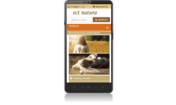 Premium Responsive Design Natura #4