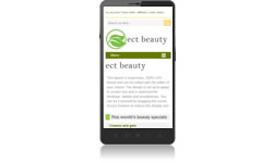 Responsive Design Beauty Ecomm Plus #4