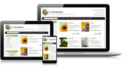 Responsive Design Eco Ecomm Plus