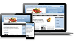 Responsive Design Gadgets Ecomm Plus