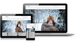 Responsive Design Ice Ecomm Plus