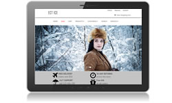 Responsive Design Ice Ecomm Plus #3