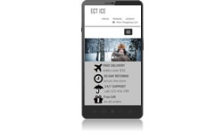 Responsive Design Ice Ecomm Plus #4