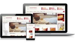 Responsive Design Lifestyle Ecomm Plus