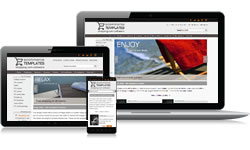 Premium Responsive Design Monochrome